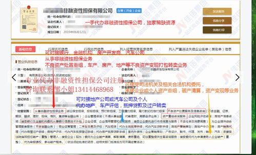 獨(dú)家渠道代辦非融資性擔(dān)保公司 專(zhuān)業(yè)金融信息咨詢服務(wù)指南